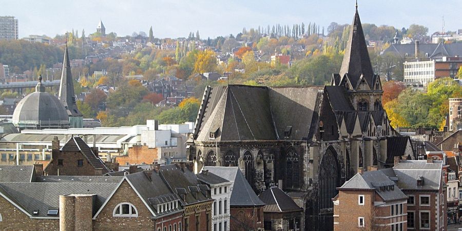 image - Visite du chantier de la Collégiale Sainte-Croix (Liège)