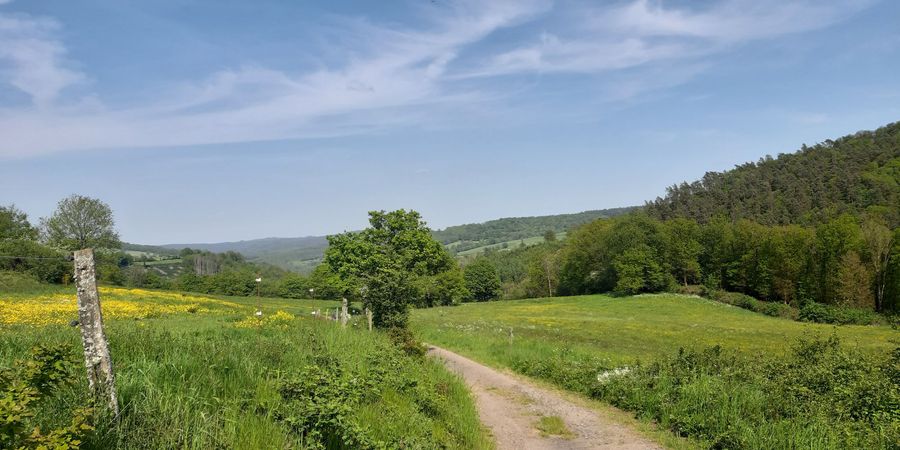 image - Villers-Sainte-Gertrude et les charmes du Condroz