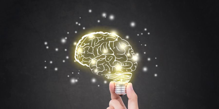 image - Certification en Approche Neurocognitive et Comportementale (Neurosciences)