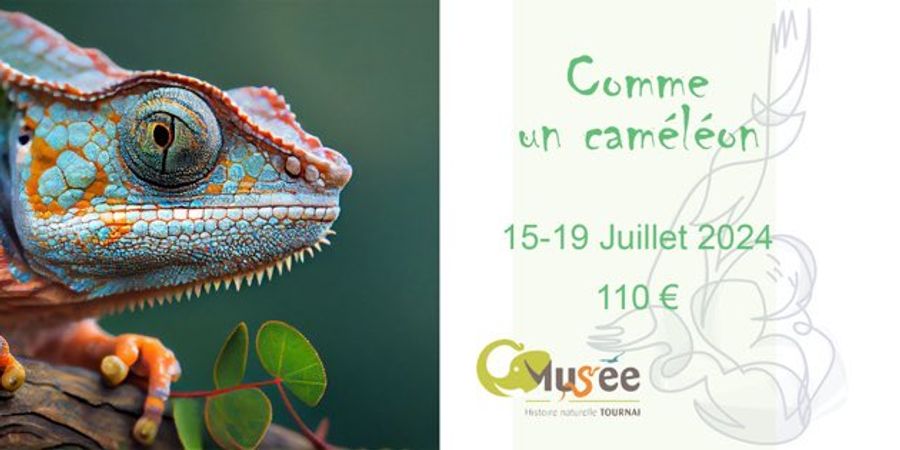image - Stage Enfants 