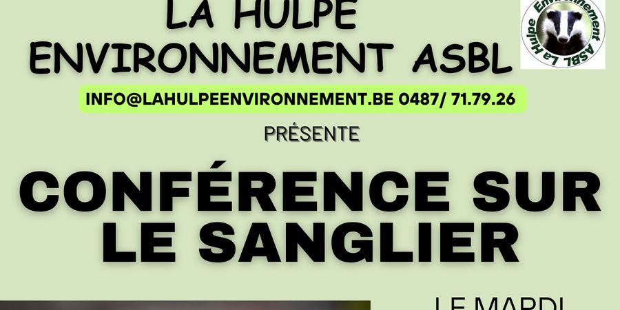 image - Le sanglier de retour