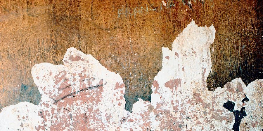 image - Dos au mur