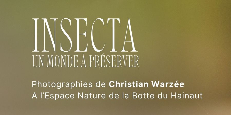image - Insecta, un monde à préserver