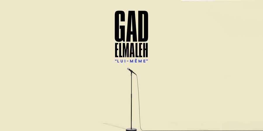 image - Gad Elmaleh