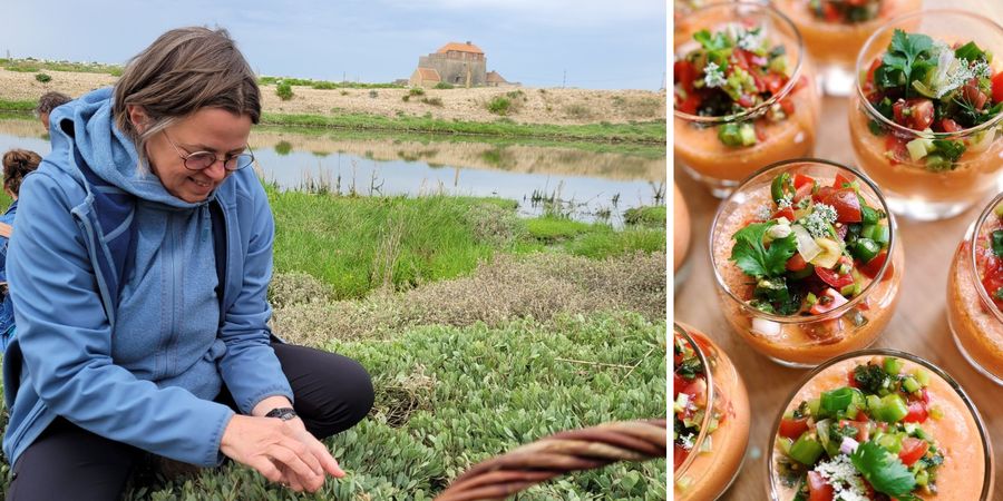 image - Formation en cuisine des plantes sauvages (diplômante)