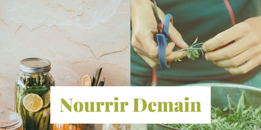 image - Stage ‘Nourrir Demain’