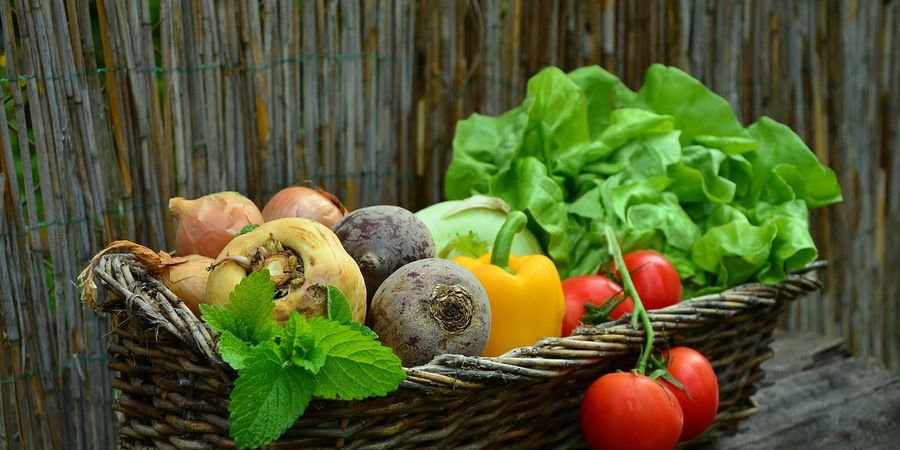 image - Lezing Moestuinieren