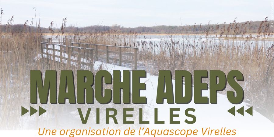 image - Marche ADEPS Virelles