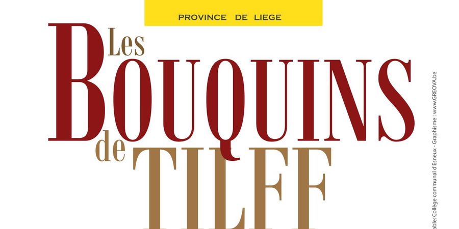 image - Les Bouquins de Tilff - bourse aux livres