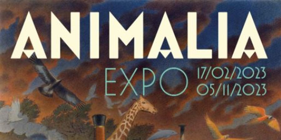 image - Animalia