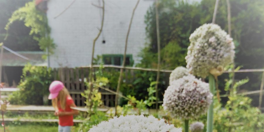 image - Stage été - une vie de rikiki