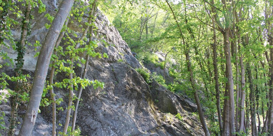 image - Balade guidée à Esneux