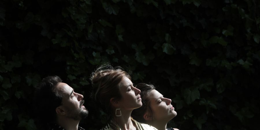 image - Suzanne Trio 