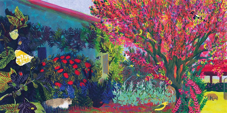 image - Stage d'été 4-6 ans