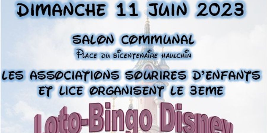 image - 3ème Loto Bingo Disney