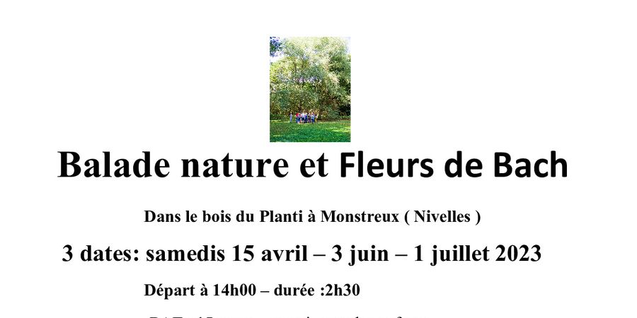 image - Balade nature et Fleurs de Bach