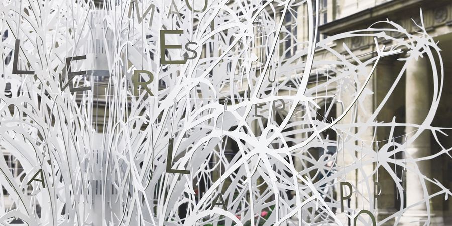 image - Connexion — Nathalie Auzépy