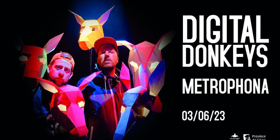image - Digital Donkeys - Soul Banger Tour