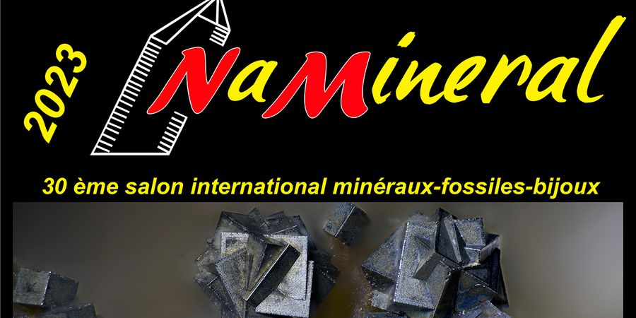 image - Naminéral 2023