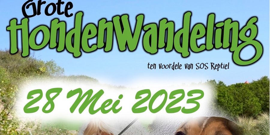 image - Hondenwandeling