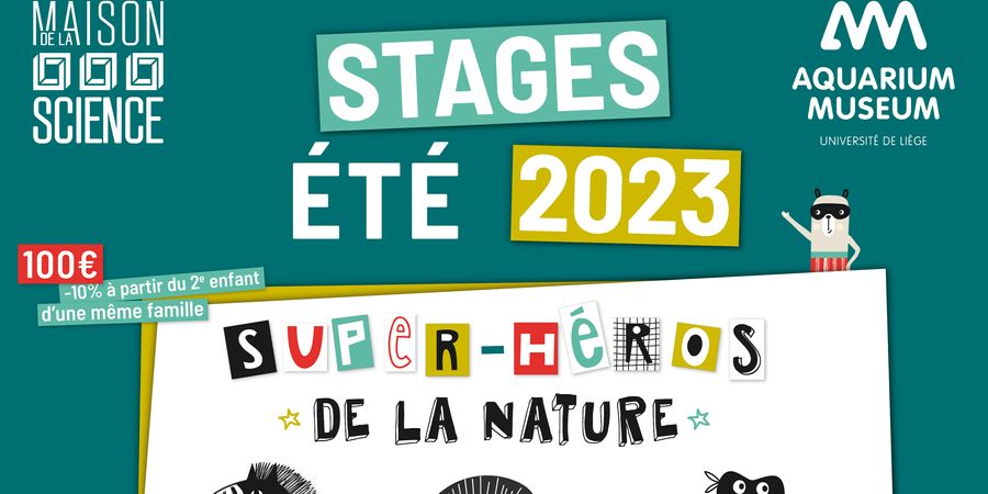 image - La nature, quand les êtres vivants s’adaptent