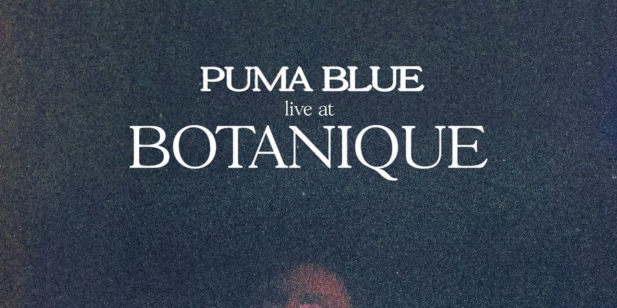 image - Puma Blue - Uma