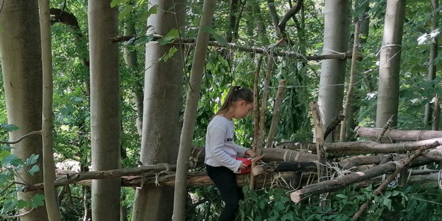 image - Robin des bosquets, 4-8 ans