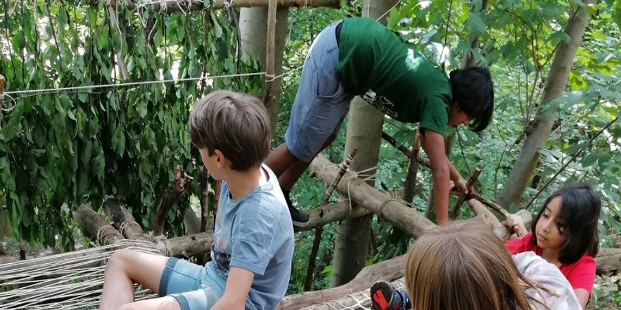 image - Robin des bois, dès 9 ans
