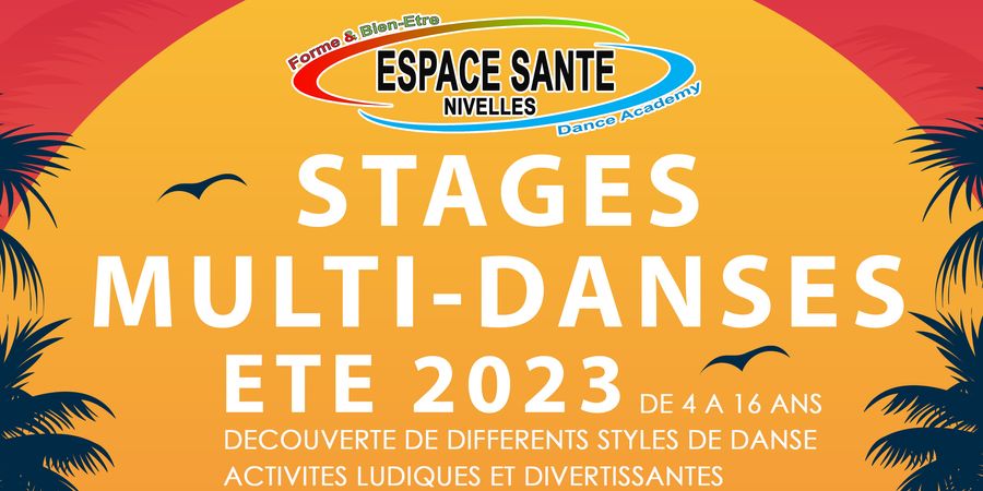 image - Stages multi-danses d'été