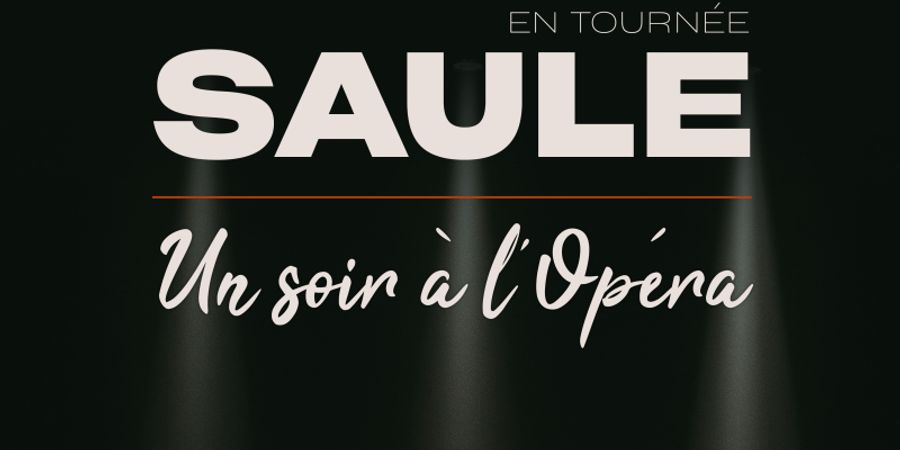 image - Saule - Un soir à l'Opéra