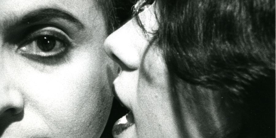image - Projection : Couple, Regards, Positions de Boris Lehman et Nadine Wandel