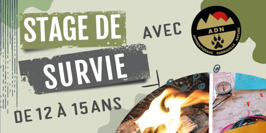 image - Stage de survie à Flémalle