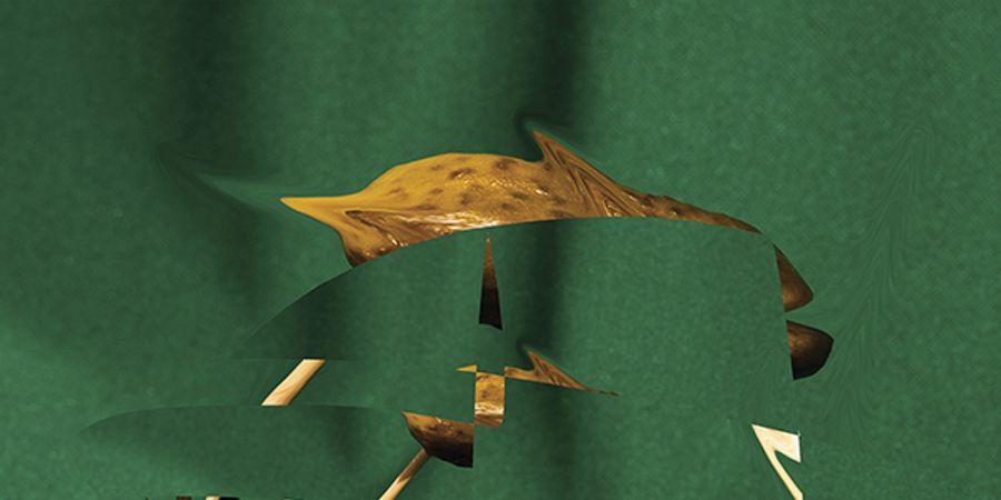 image - Apparatus of Joy