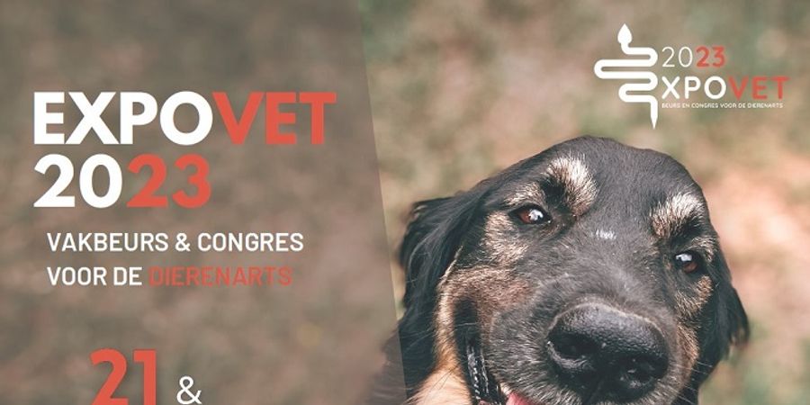 image - Expovet