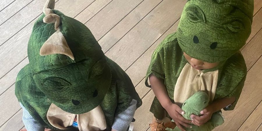 image - DINO'S IN DE JUNGLE (Zomerkamp 2,5 - 6 jaar)