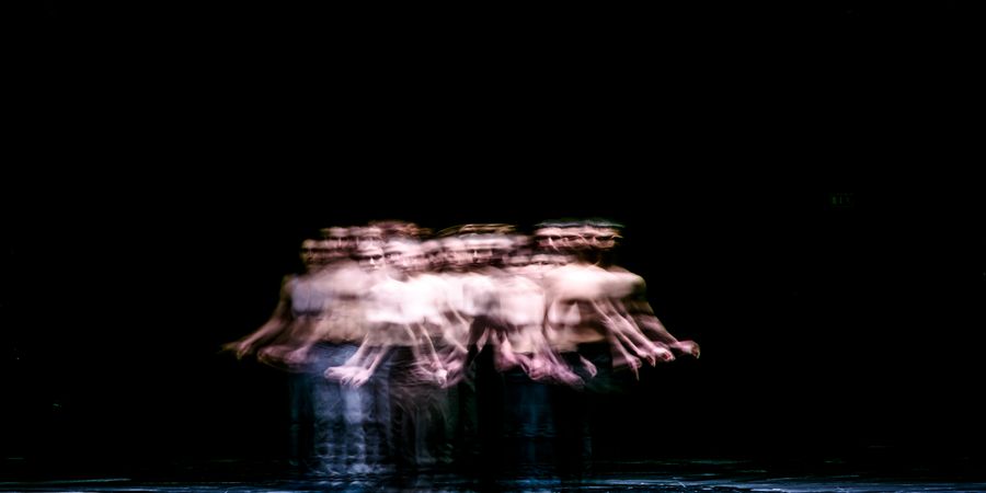 image - Mycelium