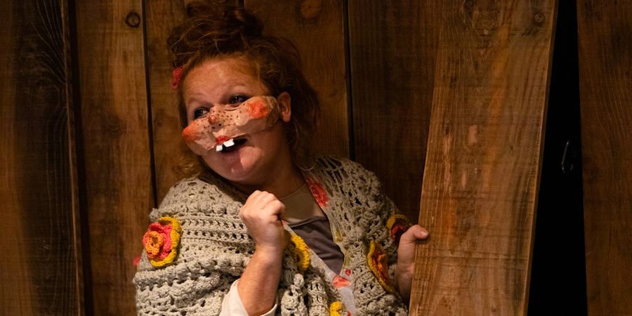 image - La petite souris - Le mystère de la dent perdue