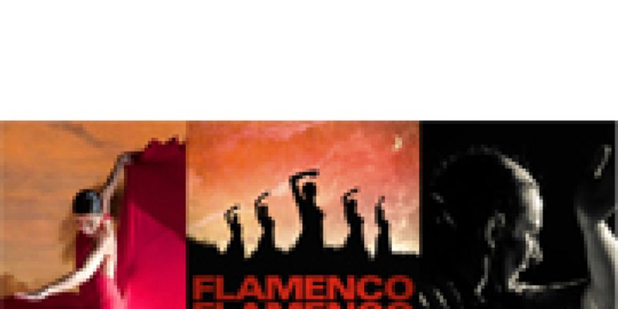 image - Flamenco Flamenco