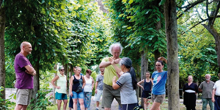 image - Stage international de tai chi qigong