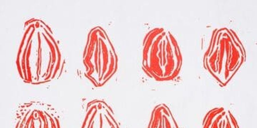 image - Histoire fiction et sexualités - Let's talk about sex