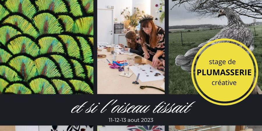 image - STAGE DE PLUMASSERIE ET TISSAGE