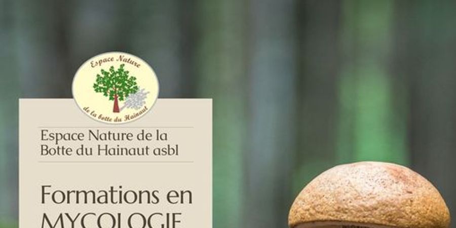 image - Formations en mycologie