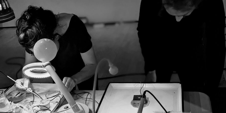 image - Live at Museum : La Voie Chimique des Cavités