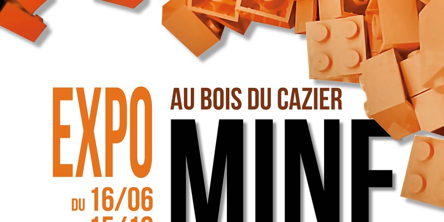 image - Mine et une briques