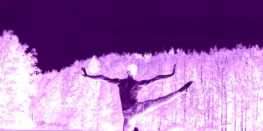 image - Stage de danse classique et contemporaine