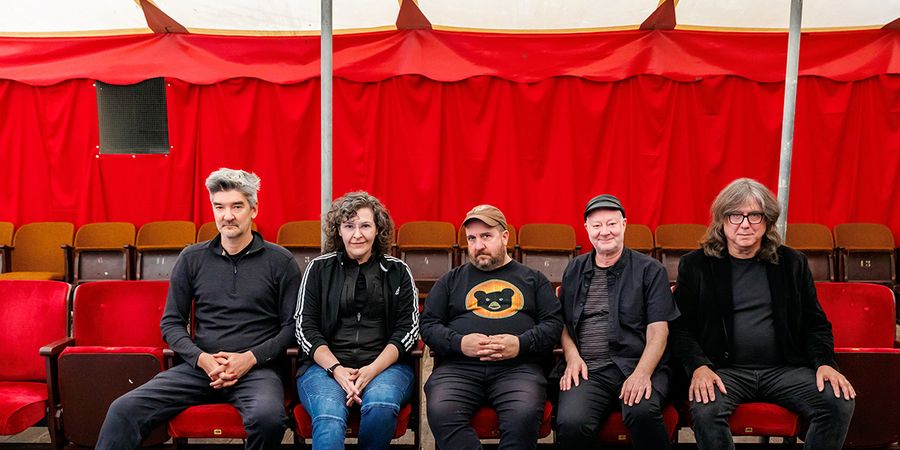 image - The Magnetic Fields - Conchúr White