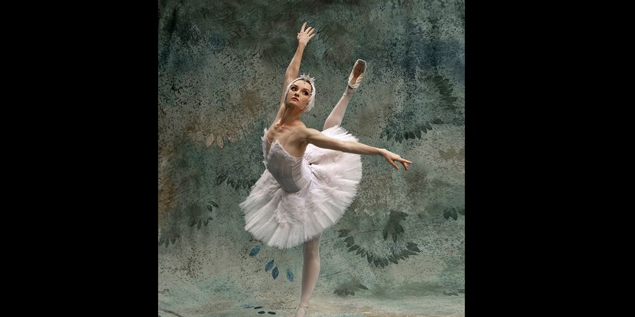 image - Swan Lake