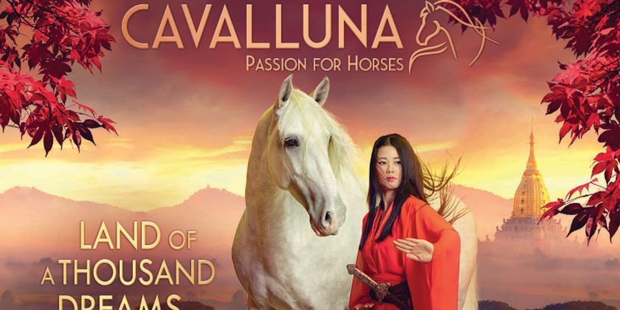 image - Cavalluna