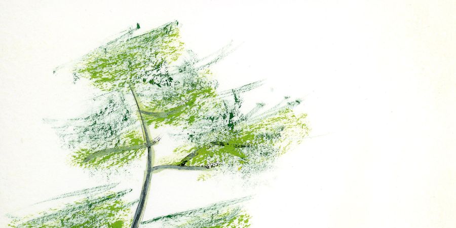image - Truong Huy