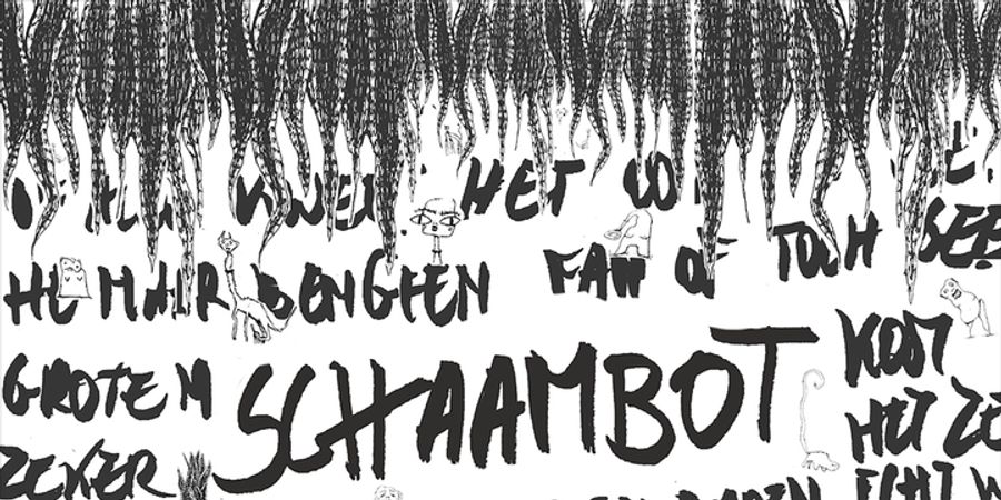 image - Schaambot